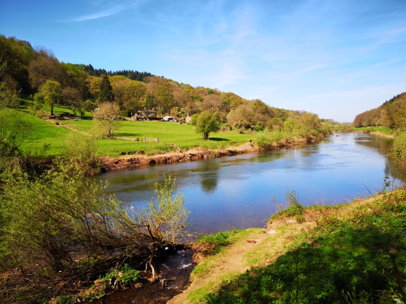 Lower Wye above Redbrook